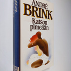 Andre Brink : Katson pimeään - pikkukuva 1