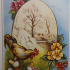 Kukko, kuoriutuvia tipuja, soikiomaisema, kukkia, p. 1956 - pikkukuva 1