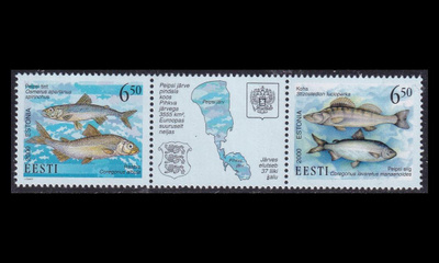 Eesti 384-5ds ** Kaloja (2000)
