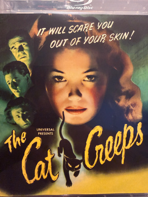 The cat creeps