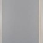Leningard in works of graphic art and painting (Laatikossa) - pikkukuva 2