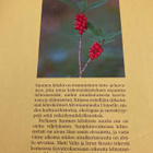VALTA - ROUTIO: SUOMEN LEHDOT - pikkukuva 2