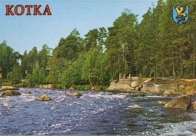 KOTKA #803