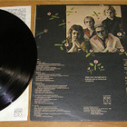 Piirpauke - 2 - LP - pikkukuva 2