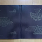 THE DEVIL'S BLOOD : The Time Of No Time Evermore (2xLP) - pikkukuva 3