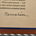 Waffen-SS / Kolmen Rintaman Mies - pikkukuva 5