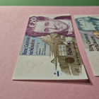Upeat Irlannin punnat 10 £ ja 20 £ (1996) – Erittäin siistit - pikkukuva 4