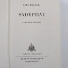 Satu Waltari : Sadepilvi : rakkauskertomus - pikkukuva 3
