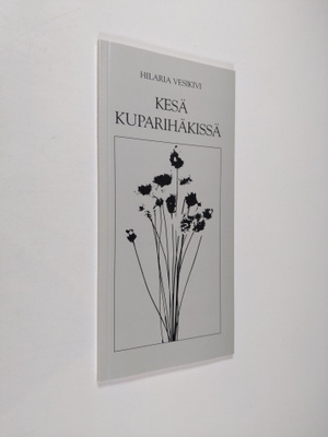 Hilaria Vesikivi : Kesä kuparihäkissä