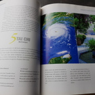 Gina Lazenby : Sisustajan Feng Shui - pikkukuva 2