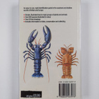 Andrew C. Campbell : Seashores and Shallow Seas - pikkukuva 2