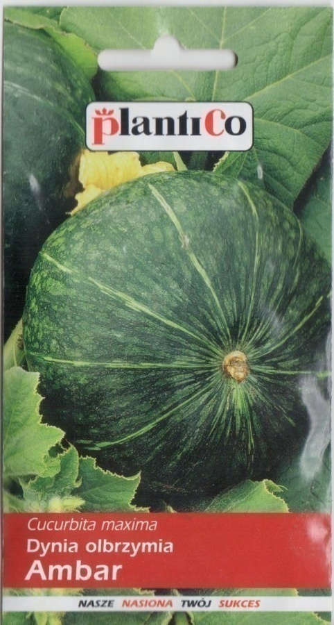 Kurpitsansiemenet Ambar # 12.2024 -70%!!!