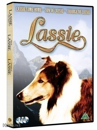 Lassie kokoelma (1943-1946) 3DVD (UUSI)