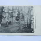 Kauniainen * - pikkukuva 1