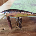 Rapala Floating Finland 6cm - pikkukuva 2