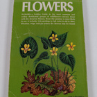 Alexander Campbell Martin ym. : Flowers - A Guide to Fami... - pikkukuva 2