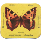 Kahvilappu NOKKOSPERHONEN - pikkukuva 1