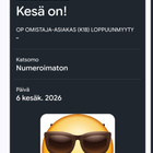 Kesä on!-liput 2kpl - pikkukuva 2