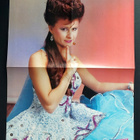 Van Halen - David Lee Roth / Tracey Ullman : Juliste - pikkukuva 2