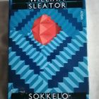 Sleator, William: Sokkeloportaikko - pikkukuva 1