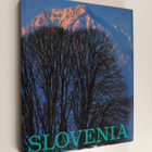 Slovenia - pikkukuva 1