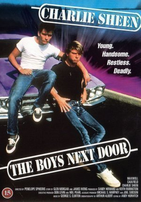 The Boys Next Door - DVD