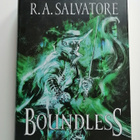 Salvatore, R. A.: Forgotten Realms: Boundless (uusi) - pikkukuva 1