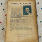 LAILA SIIKANEN: VÄINÖ, ÄLÄ MENE (1. PAINOS) - pikkukuva 2