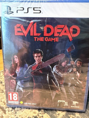 EVIL DEAD The Game PS5