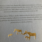 HEIKKI WILLAMO: MYYTTINEN MATKA - pikkukuva 2