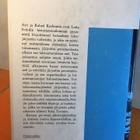 Koskimies Airi ja Rafael: Suomen lotta - pikkukuva 3