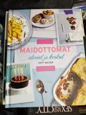 SALTER : MAIDOTTOMAT ATERIAT JA HERKUT (