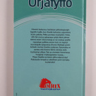 Angela Dorsey : Orjatyttö - pikkukuva 2
