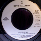 DAVID HALLYDAY::TEARS OF THE EARTH / CAN'T DENY:VINYYLI 7" - pikkukuva 4