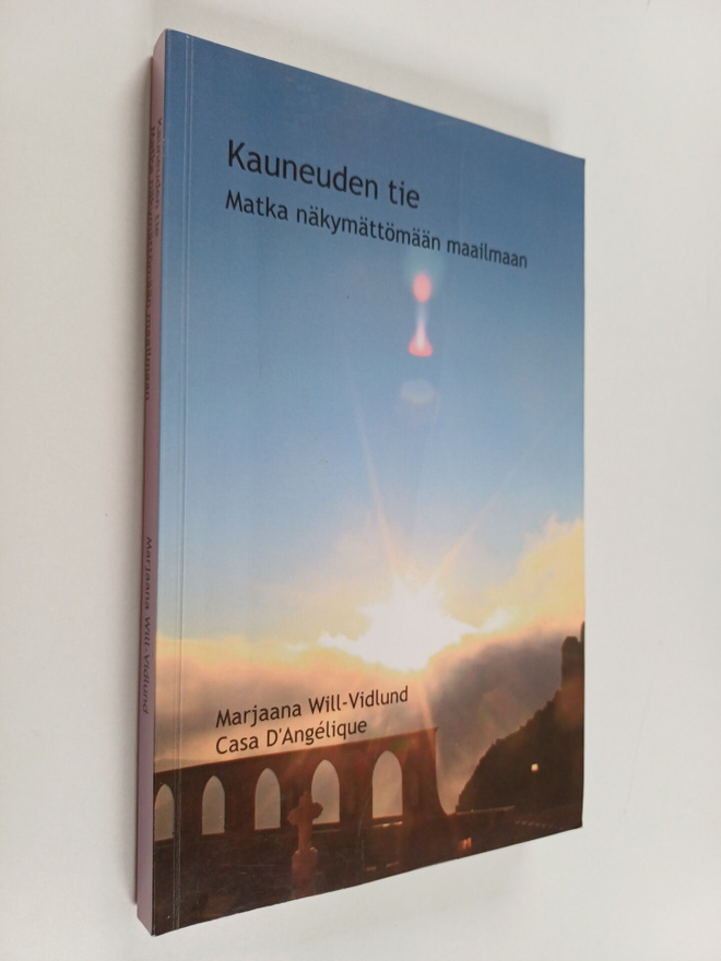 Marjaana Will-Vidlund : Kauneuden tie : matka näkymättömä...