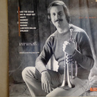 MIKE METHENY :: DAY IN - NIGHT OUT :: VINYYLI LP 1986 - pikkukuva 3