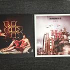 RUOSKA Rabies & Amortem vinyyli LP:t - pikkukuva 1