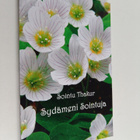 Sointu Thakur : Sydämeni sointuja - pikkukuva 1