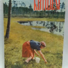 Kotiliesi No 17 syyskuu 1953 - pikkukuva 1