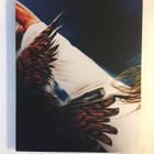 Zombie 5: Killing Birds (Blu-ray) Slipcover (1987) - pikkukuva 2