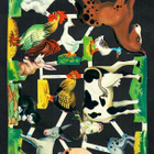 MLP 798 - Arkki - Maatilan eläimet - 1960-70-luvulta - pikkukuva 4