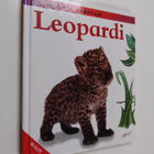 Jinny Johnson : Leopardi - pikkukuva 1