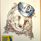 kortti °/* Suomalainen poliisi - erilaisia - pikkukuva 5