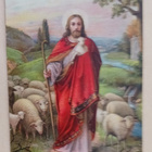 Jeesus ja lammaslauma, vanha väripk, p. 1922 - pikkukuva 1
