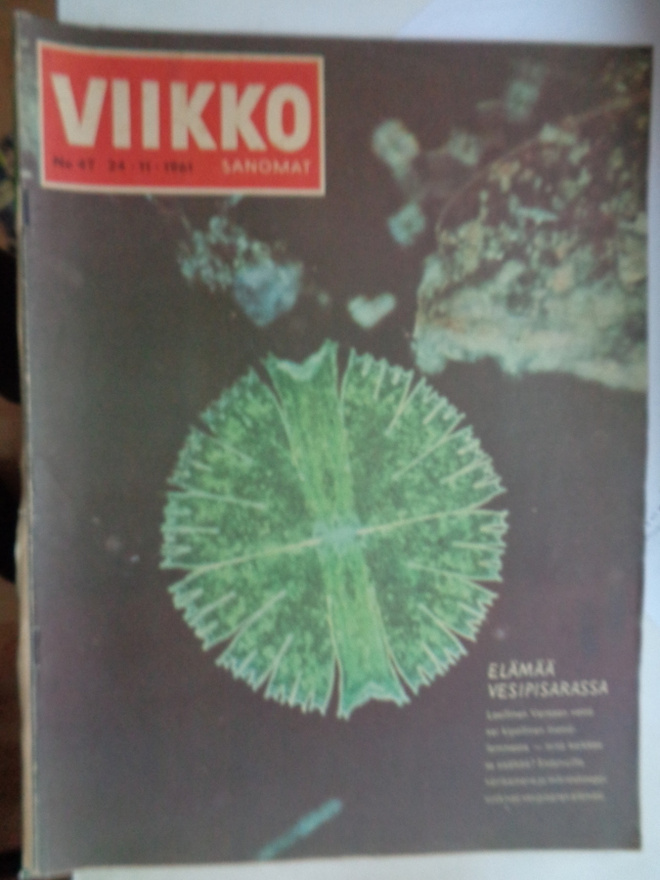 Viikkosanomat Nro 47/1961 (6.5)