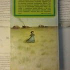 Laura Ingalls Wilder - Hopeajärven rannalla (sid.) - pikkukuva 3
