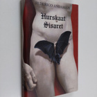 Federico Andahazi : Hurskaat sisaret - pikkukuva 1