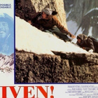 Alive Dvd - pikkukuva 3