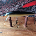 Rapala Floating Finland 6cm TR - pikkukuva 2