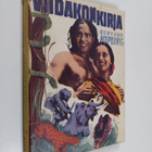 Rudyard Kipling : Viidakon kirja - pikkukuva 1